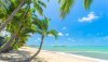 cairns-clifton-beach-palms_730-730x410.jpg