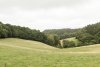 _MG_6427.jpg