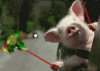 th.gif