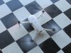 WhiteProps2.jpg