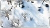 Lucian_Bartosik_Copyright_2019_Canada_Geese4_Web_FLY.jpg