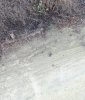 D0C4040C-7681-4D64-AED8-F3E12040B129.jpeg