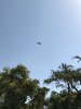 IMG_2665.JPG