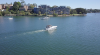 Mavic Focus Issues 1.png