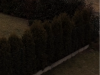 sharpness0.png