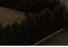 sharpness1.png