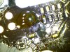 Still_2019-02-11_184147_60X_N0002.jpg