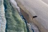 DJI_0600-LR DRONE SURFER+SHADOW WALKING ALONG BEACH.jpg