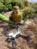 Kakapo & drone.jpg