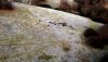 DJI_0242.JPG