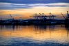 IMG_0144-EFFECTS.jpg