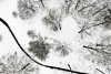 DJI_0265 web.jpg