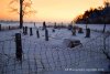 Winter Ice Fence Sunset LB Photography copyright 2019.jpg