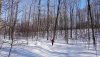 C2 waving while snowshoeing in Grey County - Feb 2019.jpg
