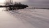 Grey County - Winter Diamond Field and Tree Line Shadows - Feb 17 2019.jpg