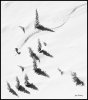 ski-moonlight-grabs-08.jpg