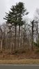 20190325_104133.jpg
