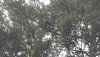 20190325_110137.jpg