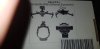 20190327_184248.jpeg