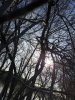 View from drone.jpg