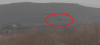 bird3.PNG