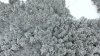 DJI_0009.JPG