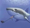 Shark Selfie.jpg