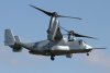 osprey.jpg