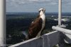 LRM_EXPORT_20180825_161445-02.jpeg