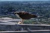 LRM_EXPORT_20180825_153227-01.jpeg