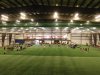 DJI_0217.JPG