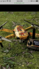 26083FAA-E36D-467B-B66F-D73EE600495A.png