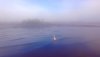 42352F3D-8C3C-4B5E-99D3-97690FBFA6F8.jpeg