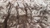 Glacier-downward-view-drone-DJI_0227.jpeg