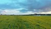 vlcsnap-2019-07-11-22h31m45s745.jpg