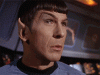 81B3D63D-7C19-4F44-99FA-14026DB6535C.gif