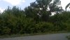 IMG_20190725_130258.jpeg