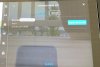 wdw-7.JPG