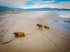 DJI_0021.jpg
