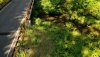 DJI_0896c.JPG