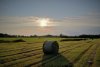 DJI_0151 vign.jpg