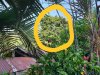 20190817_161458.jpeg