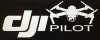 DJI MAVIC PILOT STICKER.jpg