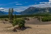 YUKON-DESERT-1.jpg