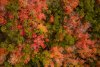 D7AE02ED-5C20-4269-A9ED-A6B494F8CA96.jpeg