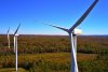 DJI_0104.jpg