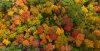 DJI_0224-3.jpg