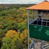 firetower (2).jpg