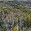 firetower (4).jpg