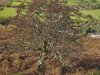 DJI_0023.JPG